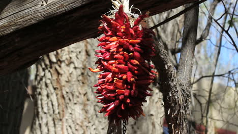 New-Mexico-chilies-ct