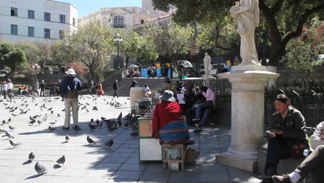 La-Paz-plaza-with-pigeons-c