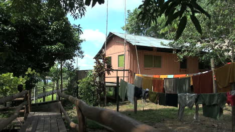 Amazon-laundry-by-house-in-jungle