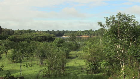 Amazon-view-toward-river