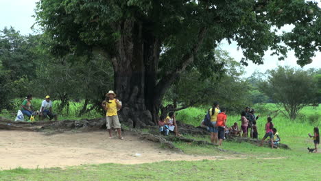 Brasil-Boca-Da-Valeria-Gran-árbol-Con-Personas-S