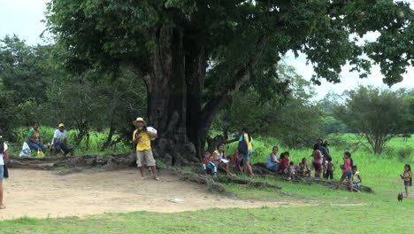 Brazil-Boca-da-Valeria-people-under-large-tree