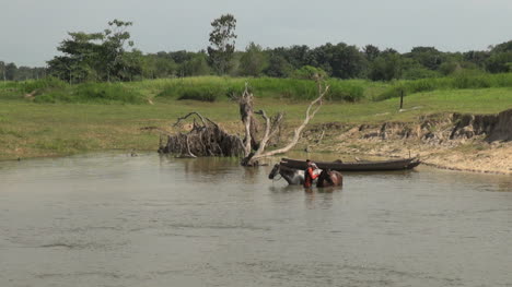 Brazil-Amazon-backwater-men-washing-horse-s