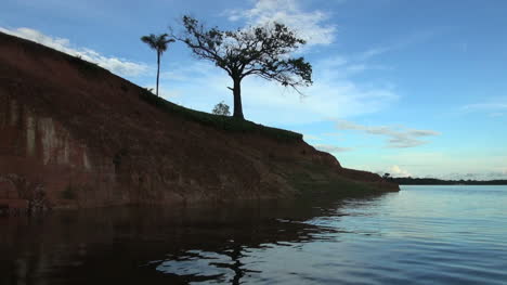 Amazonas-Dos-árboles-En-La-Orilla-Del-Barco