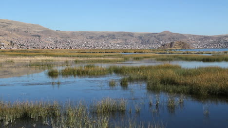 Peru-Titicacasee-Ruhiges-Feuchtgebiet-Und-Jede-Menge-Schilf