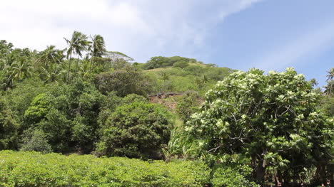 Bora-Bora-erosion-on-a-tropical-hillside