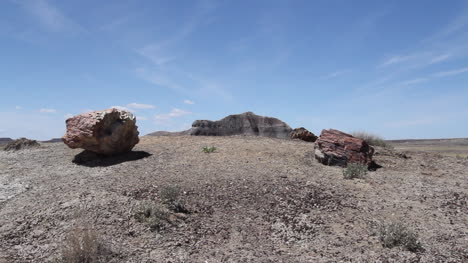 El-Parque-Nacional-Del-Bosque-Petrificado-De-Arizona-Troncos-En-El-Suelo