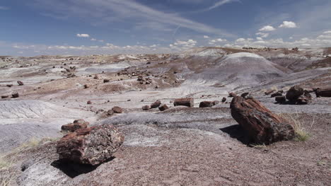 Arizona-Petrified-Forest-National-Park-Crystal-Forest-logs-in-foreground