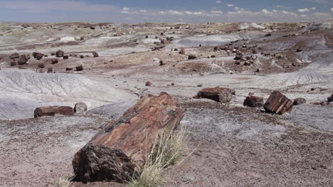 Arizona-Petrified-Forest-Crystal-Forest-log-in-foreground