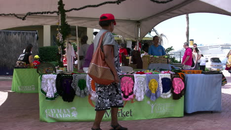 Grand-Cayman-George-Town-people-shopping-for-crafts
