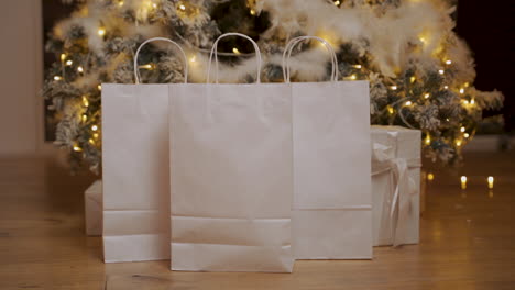 Paper-Bags-With-Blank-Space-For-Christmas-Gifts