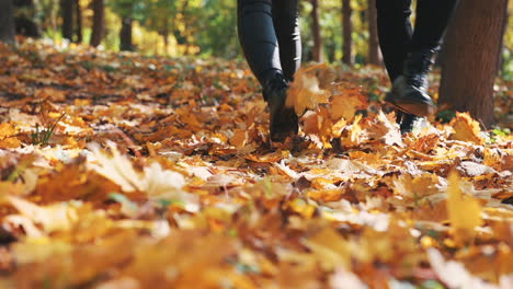 Girlfriend-And-Boyfriend-Boots-Taking-A-Romantic-Walk-On-The-Fallen-Leaves