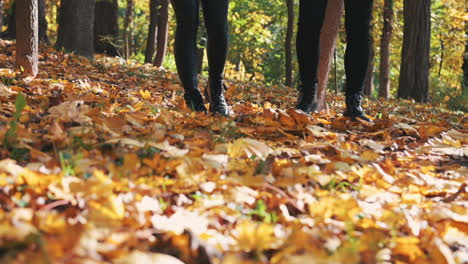 Girlfriend-And-Boyfriend-Boots-And-Legs-Taking-A-Romantic-Walk-On-The-Fallen-Leaves