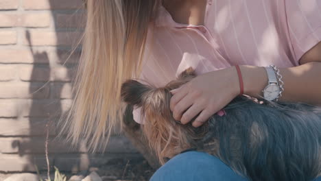 Young-Woman-Petting-Her-Little-Dog-In-The-Garden