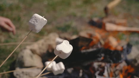 A-Group-Of-Young-People-Warm-Marshmallows-On-A-Bonfire-4