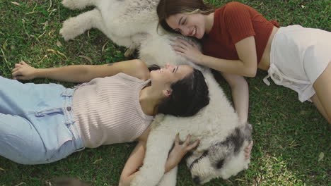 Young-Women-Pet-A-Big-Dog-Lying-On-The-Grass-1