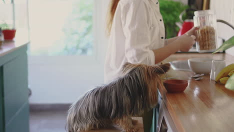 Young-Woman-And-Her-Little-Dog-In-The-Kitchen