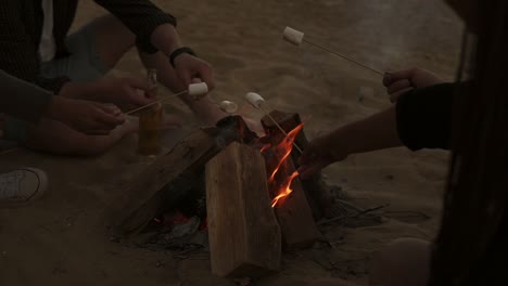 Group-Of-Young-Friends-Sitting-By-The-Fire-On-The-Beach,-Grilling-Marsh-Mallows