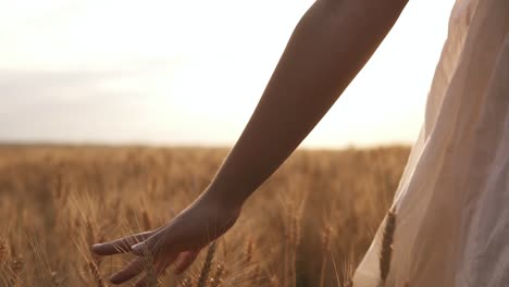 Woman-In-The-White-Dress-Running-Her-Hand-Through-Some-Wheat-In-A-Field