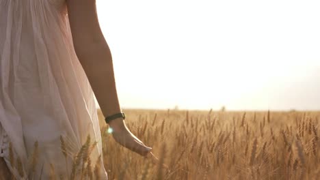 Close-Up-Of-A-Woman-In-White-Dress-Going-By-The-Wheat-Field-And-Touching-The-Plants