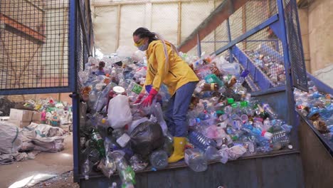 Aufnahmen-Einer-Jungen-Frau-In-Gelber-Jacke-Und-Handschuhen-Schaufeln-Gebrauchte-Flaschen-Mit-Den-Händen-Gebrauchte-Plastikflaschen-In-Einer-Recyclingfabrik