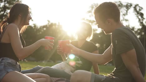 Group-Of-Three-Friends-Drinking-In-The-Park-From-The-Red-Plastic-Cups-While-Sitting-On-The-Green-Grass-With-Black-And-White-Small-Dog-With-Them