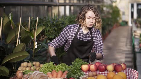 Portrait-Of-Beautiful-Woman-Farmer-In-Black-Gloves-Arranging-Organic-Food-In-Farm-Market-Standing-Indoors-In-Spacious-Greenhouse