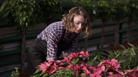 Eine-Junge-Floristin-In-Schwarzer-Schürze,-Die-Im-Gewächshaus-Arbeitet-Und-Sich-Um-Blumen-Kümmert