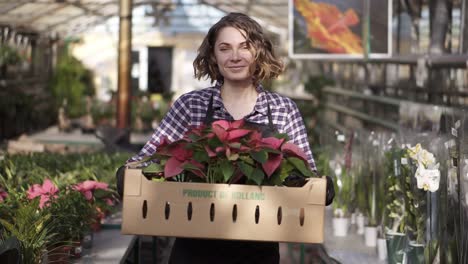 Beautiful,-European-Smiling-Female-Gardener-In-Plaid-Shirt-And-Black-Apron-Carrying-Carton-Box-With-Pink-Flowers-Plants-While-Walking-Between-Raised-Flowers-In-A-Row-Of-Indoors-Greenhouse