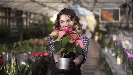 Portrait-Of-Florist-Woman-Working-In-Sunny-Greenhouse-Full-Of-Blooming-Plants,-Holding-Beautiful-Plant-In-A-Pot-And-Cheerfully-Smiling-To-A-Camera