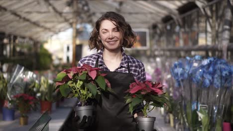 Front-View-Of-A-Beautiful-Woman-Working-In-Sunny-Greenhouse-Full-Of-Blooming-Plants,-Walking-With-Two-Pots-Plants-In-Hands-And-Cheerfully-Smiling-To-A-Camera