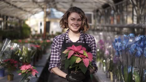 Portrait-Of-Florist-Woman-Working-In-Sunny-Greenhouse-Full-Of-Blooming-Plants,-Holding-Beautiful-Plant-In-A-Pot-And-Cheerfully-Smiling-To-A-Camera-1