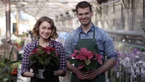 Portrait-Of-A-Beautiful-Woman-And-Handsome-Guy-Working-In-Sunny-Greenhouse-Full-Of-Blooming-Plants,-Standing-With-Pots-Plants-In-Hands-And-Cheerfully-Smiling-To-A-Camera