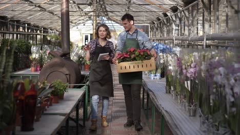 Gardener-In-Shirt-And-Green-Apron-Carrying-Carton-Box-With-Pink-Flowers-Plants-While-Walking-With-His-Collegue-A-Nice-Girl-Making-Notes