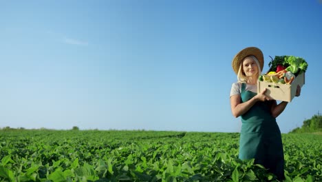 Retrato-De-La-Joven-Agricultora-Rubia-Con-Un-Sombrero-Parado-En-Medio-Del-Campo-Verde-Durante-La-Temporada-De-Cosecha-Y-Sosteniendo-Una-Caja-Con-Verduras-Maduras