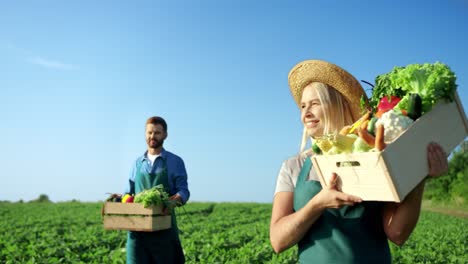 Happy-Blonde-Smiled-Woman-And-Handsome-Man,-Farmers-Carrying-Boxes-With-Their-Harvest-And-Vegetables-Through-Green-Field-On-A-Sunny-Day