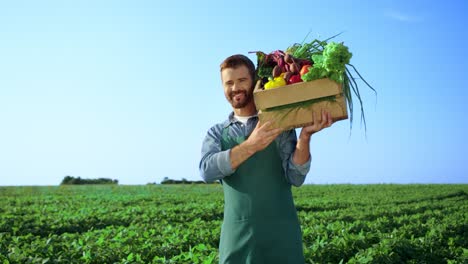 Handsome-Male-Farmer-Walking-In-The-Middle-Of-The-Green-Field-During-Harvest-Season-And-Holding-A-Box-With-Mature-Vegetables