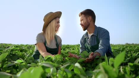 Young-Good-Looking-Man-And-Woman-Farmers-Talking-While-Sitting-In-The-Green-Field-And-Picking-Up-Their-Harvest-Green-Leaves