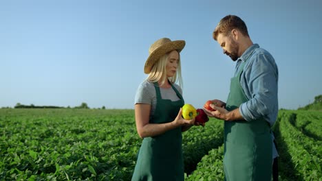Junger-Mann-Und-Frau,-Feldarbeiter,-Die-Auf-Dem-Grünen-Feld-Stehen-Und-Ihre-Geernteten-Gemüsepapiere-Und-Tomaten-Untersuchen