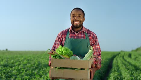 Portrait-Of-The-Young-Happy-And-Good-Looking-Male-Farmer-Standing-In-The-Green-Field-During-Harvesting-In-Summer-And-Holding-A-Box-With-Mature-Vegetables