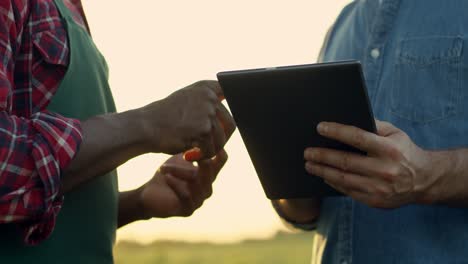 Close-Up-Of-The-Male-Hands-Of-The-Mixed-Races-Men-Farmers-With-Tablet-Device-While-They-Standing-In-The-Field-And-Deciding-Something,-Then-Shaking-Hands