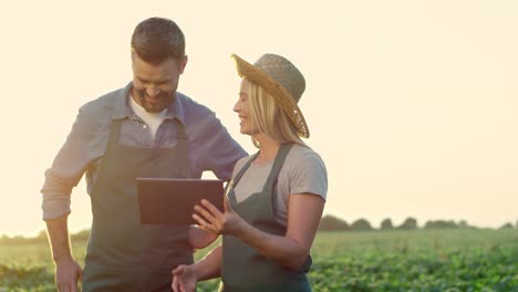 Good-Looking-Smiled-Young-Man-And-Woman-Farmers-Standing-In-The-Middle-Of-The-Field-On-The-Sunset-And-Watching-Something-On-The-Tablet-Computer