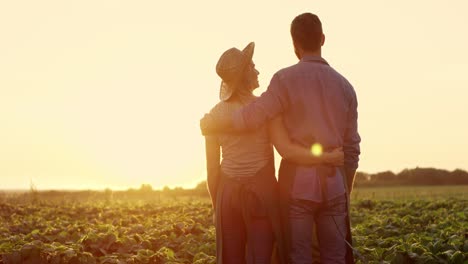 Back-View-On-The-Happy-Romantic-Couple-In-Love-Standing-Together-In-The-Field-At-The-Sunset,-Hugging-And-Looking-At-Each-Other