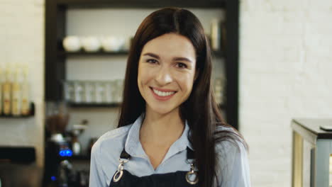 Portrait-Of-The-Beautiful-Brunette-Waitress-Smiling-Cheerfully-To-The-Camera-In-The-Restaurant