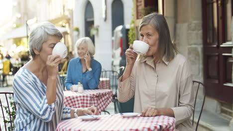 Zwei-Gut-Aussehende,-Glückliche-Seniorinnen-Sitzen-Am-Tisch-Auf-Der-Caféterrasse-Und-Schlürfen-Tee,-Während-Sie-Den-Sommertag-Genießen