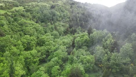 Aerial-Drone-View-Of-A-Wonderful-Foggy-Forest-In-The-Pyrenees-With-All-Kinds-Of-Trees,-Pines,-Firs,-Beeches,-Etc