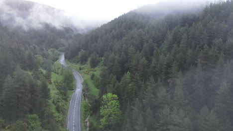 Aerial-View-Of-A-Drone-Descending-From-The-Clouds-To-A-Humid-Mountain-Road-Crossing-A-Majestic-Pine-Forest-In-The-Pyrenees