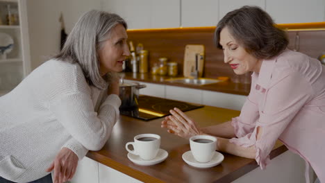 Zwei-ältere-Freundinnen-Unterhalten-Sich-Beim-Kaffeetrinken-In-Der-Küche