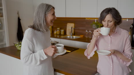 Two-Older-Woman-Friends-Talking-While-Drinking-Coffee-In-The-Kitchen-2