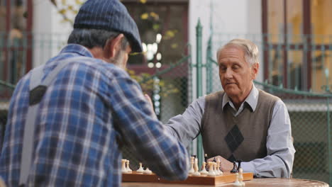 Rear-Of-The-Old-Man-In-A-Cap-Spending-Time-In-His-Yard-With-Old-Best-Friend-While-Playing-Chess